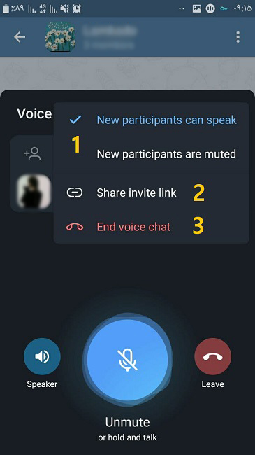 تنظیمات ویس چت تلگرام